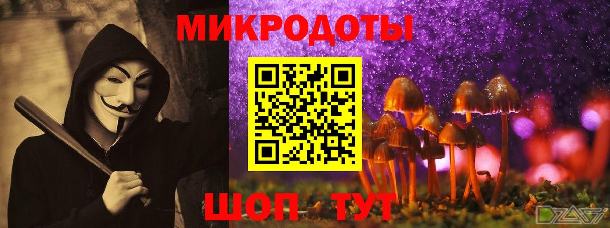 Псилоцибиновые грибы Psilocybine cubensis  Вход с VPN  Кисловодск  Псилоцибиновые грибы мицелий 
